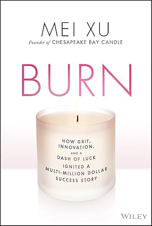 Burn: How Grit, Innovation, and a Dash of Luck Ignited a Multi-Million Dollar Success Story