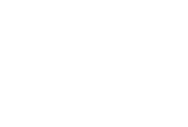 Flying Fish Company