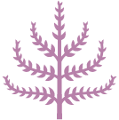spring and mulberry logo