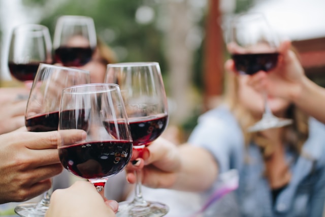 Wine Tasting Experience