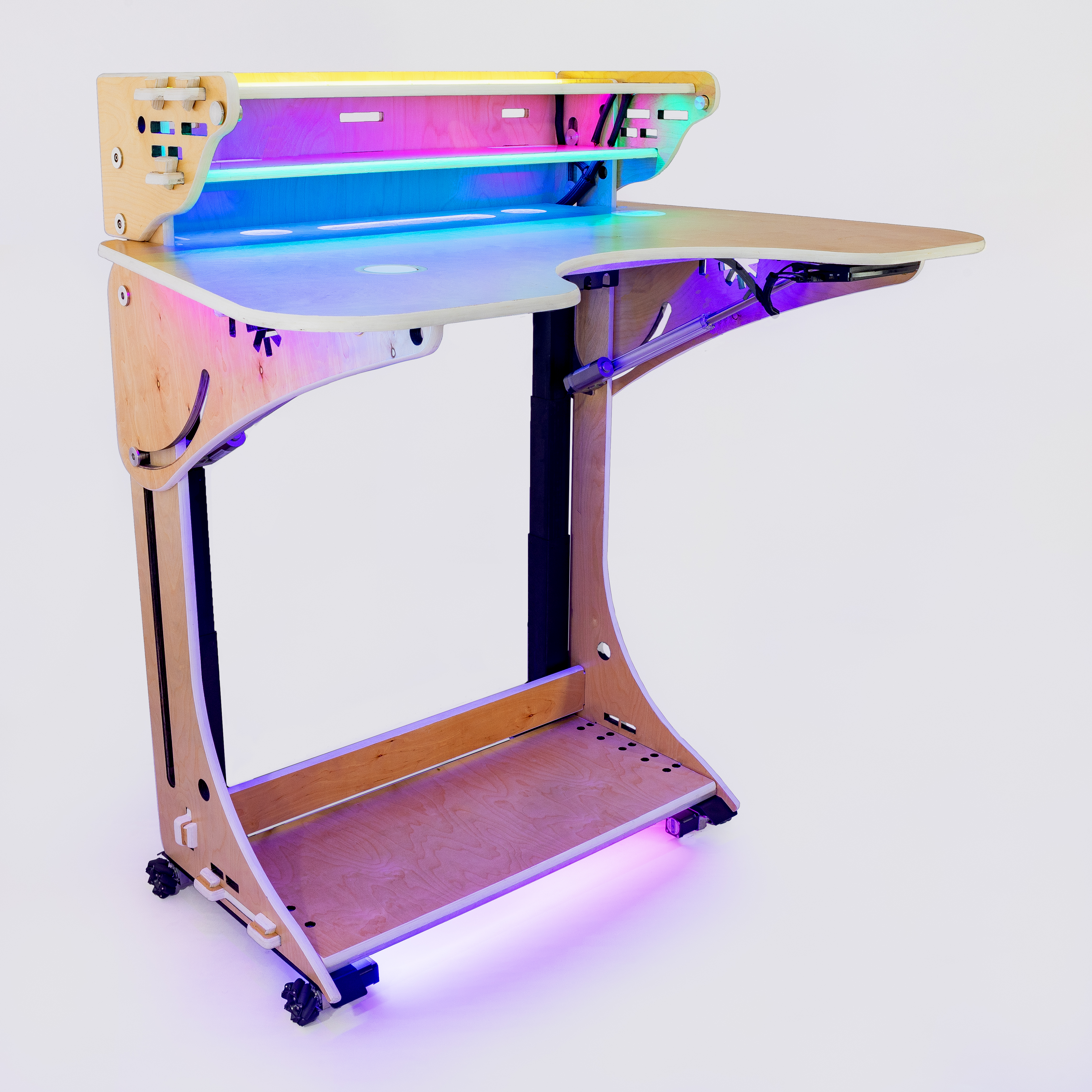 ErgoFlex Desk Professional Model