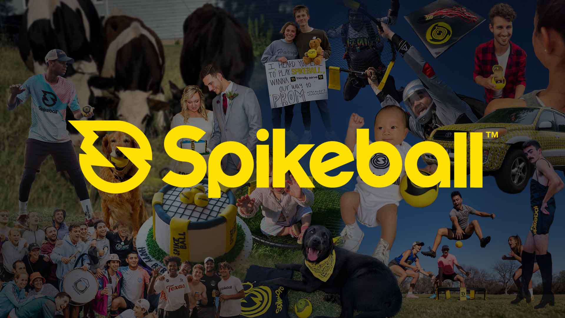 Spikeball The Original Kit