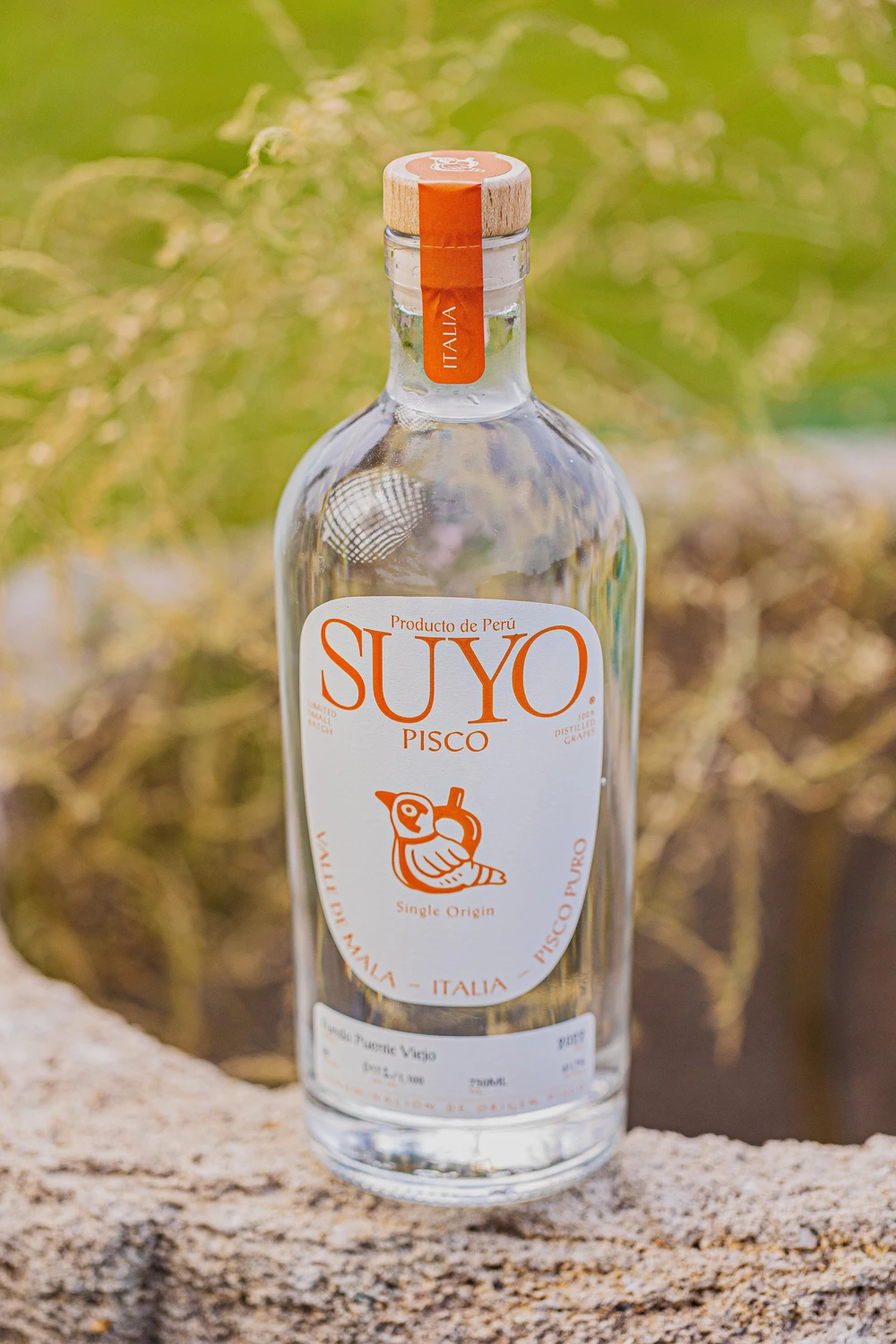 Suyo Pisco Italia