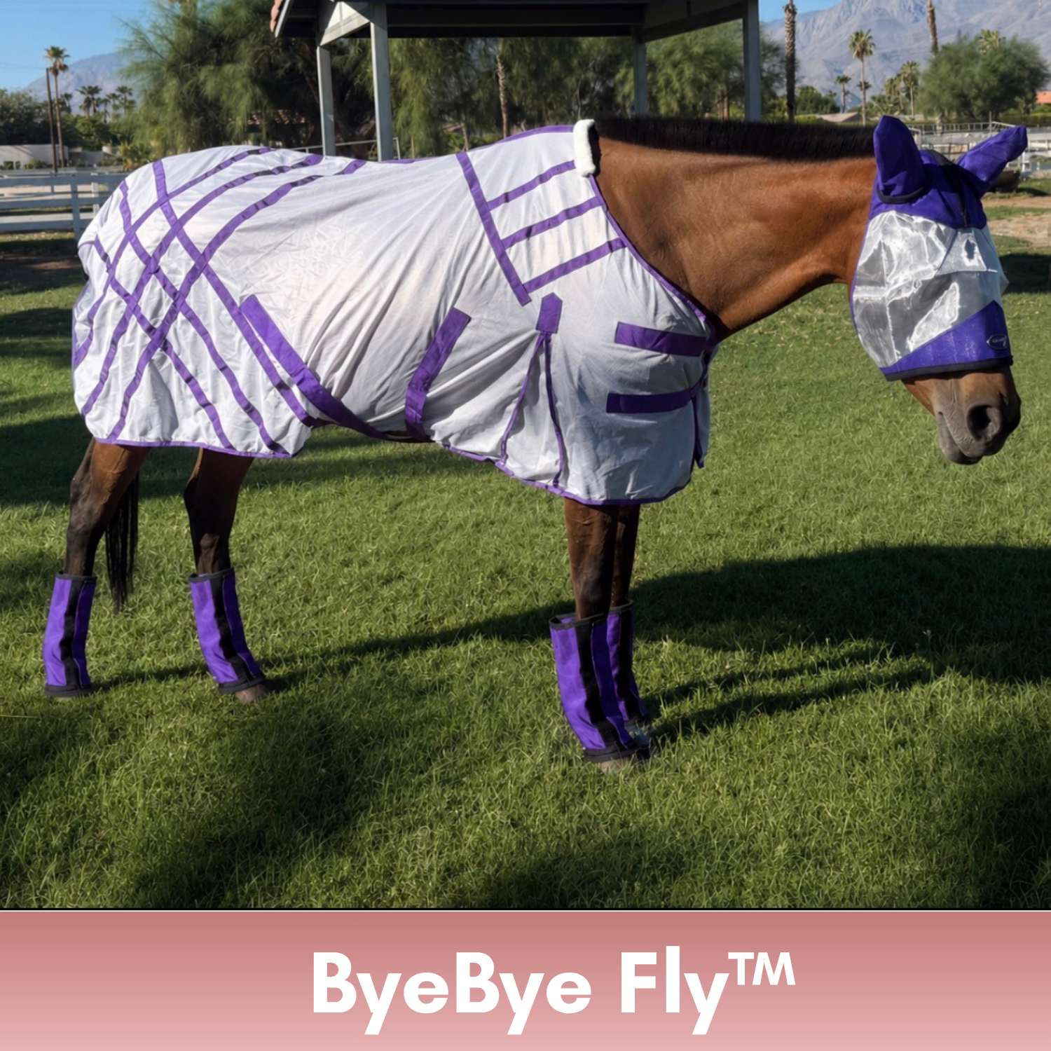 Tail Cinch - Product 2