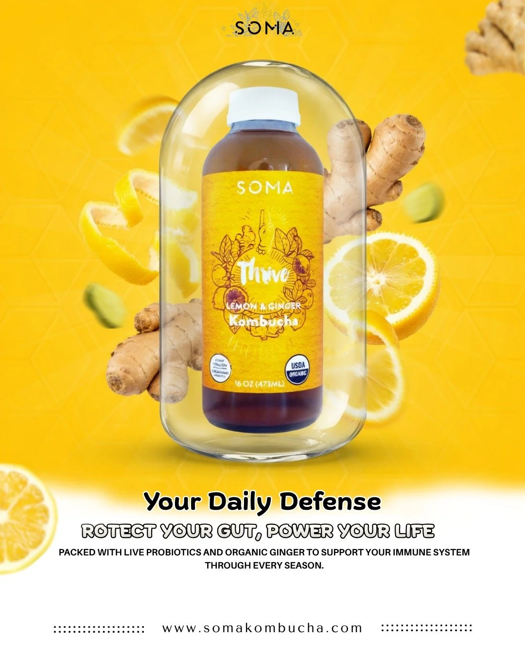 Thrive Lemon Ginger Kombucha